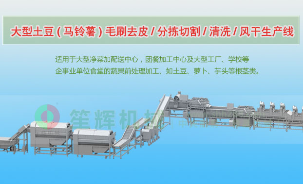 诏安连续式土豆去皮清洗切割风干生产线